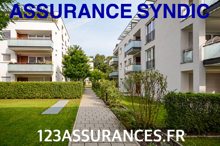 assurance copropriété syndic bénévole